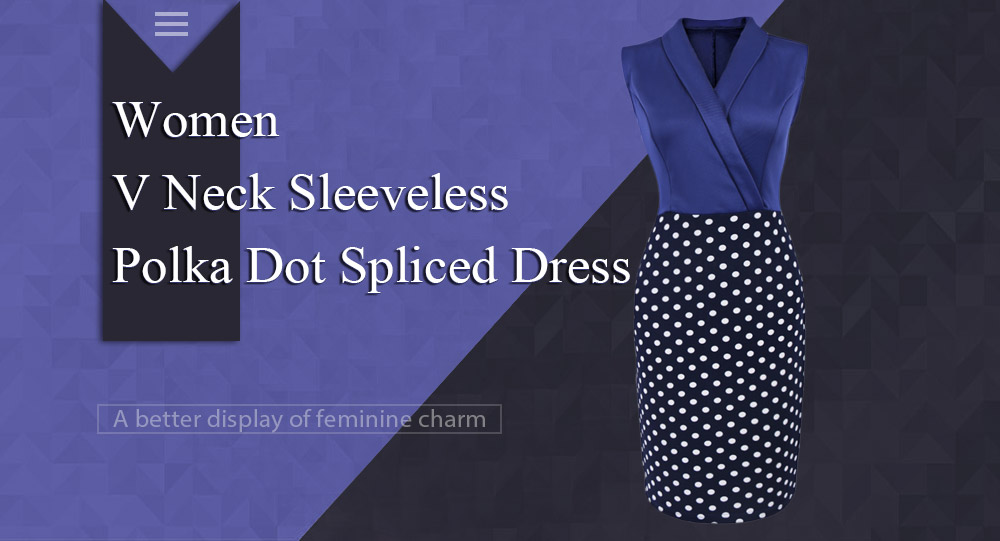 Brief V Neck Sleeveless Polka Dot Sheath Dress for Women