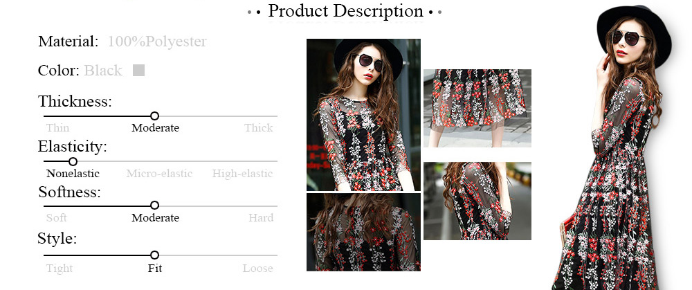 Stylish Round Collar 3/4 Sleeve Floral Embroidery Mesh Dress for Women