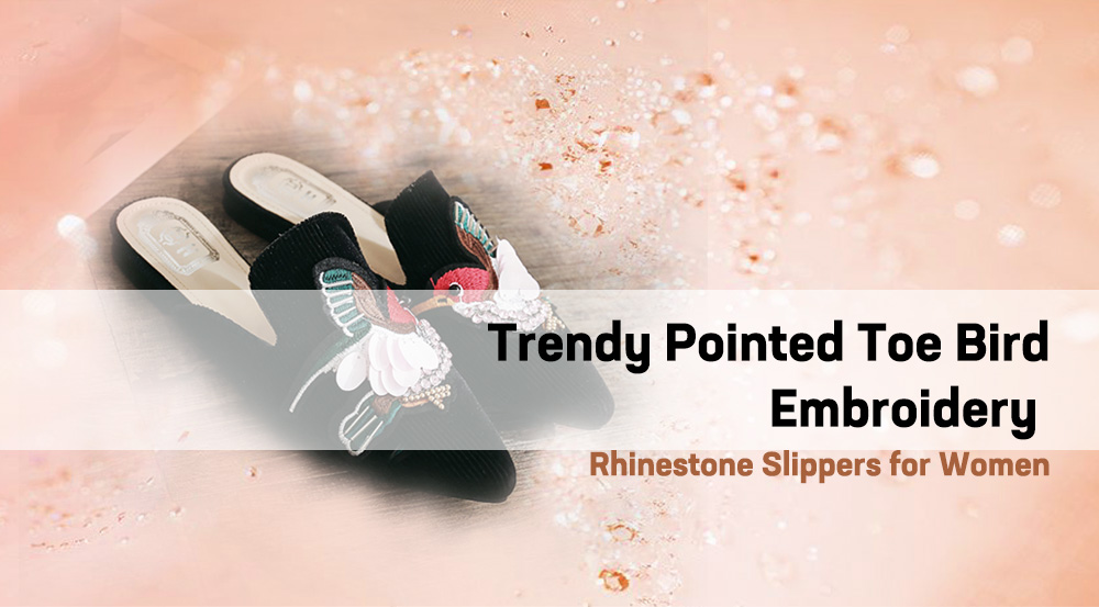 Trendy Pointed Toe Bird Embroidery Rhinestone Flat Heel Women Slippers