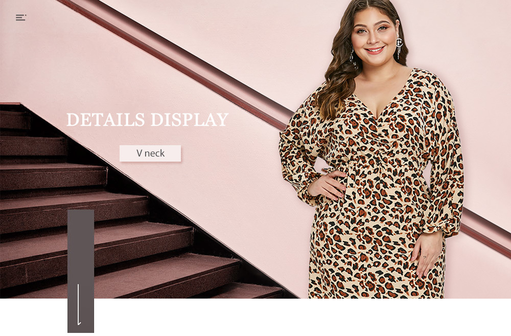 Plus Size Ruched Leopard Print Dress