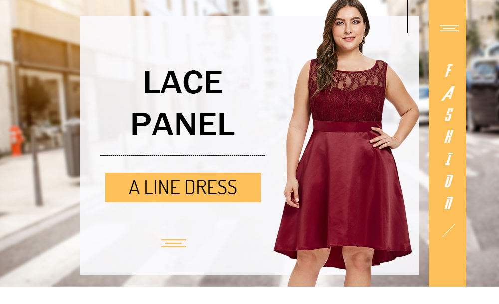 Back V Plus Size Lace Panel A Line Dress