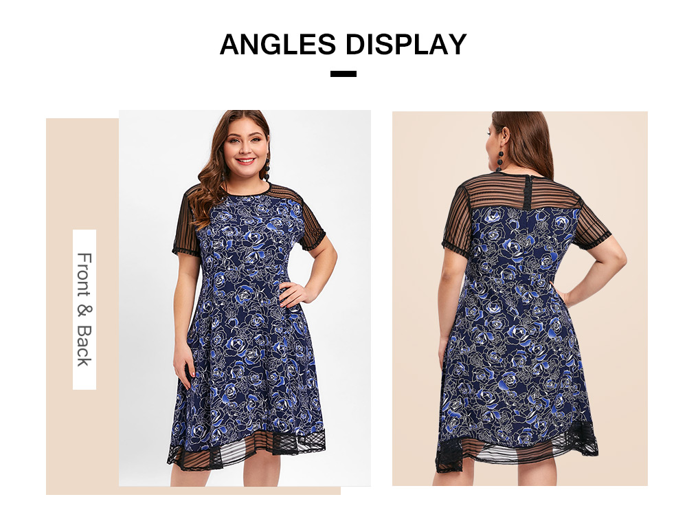 Plus Size Mesh Panel Floral Print A Line Dress