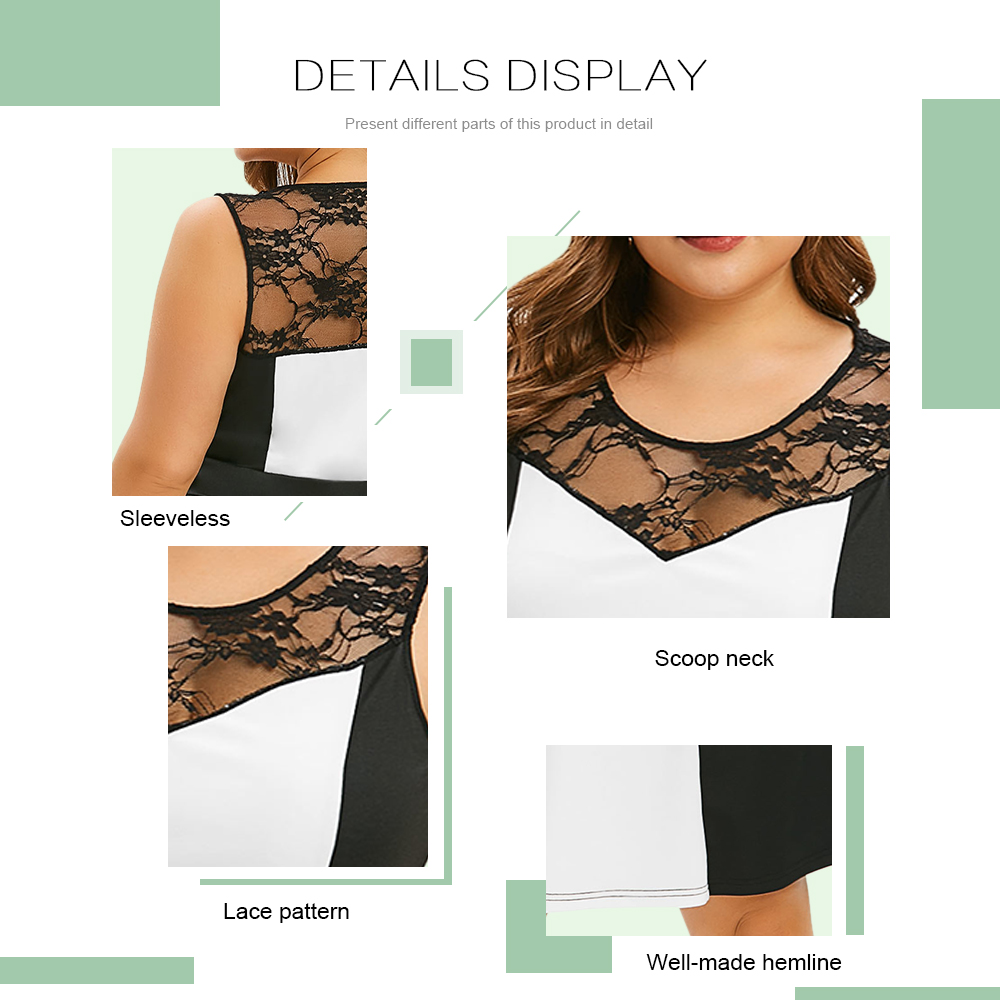 Plus Size Lace Insert Color Block Dress