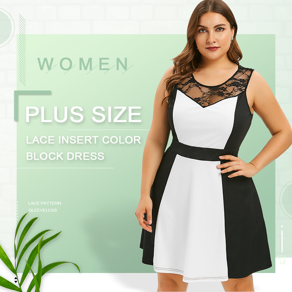 Plus Size Lace Insert Color Block Dress