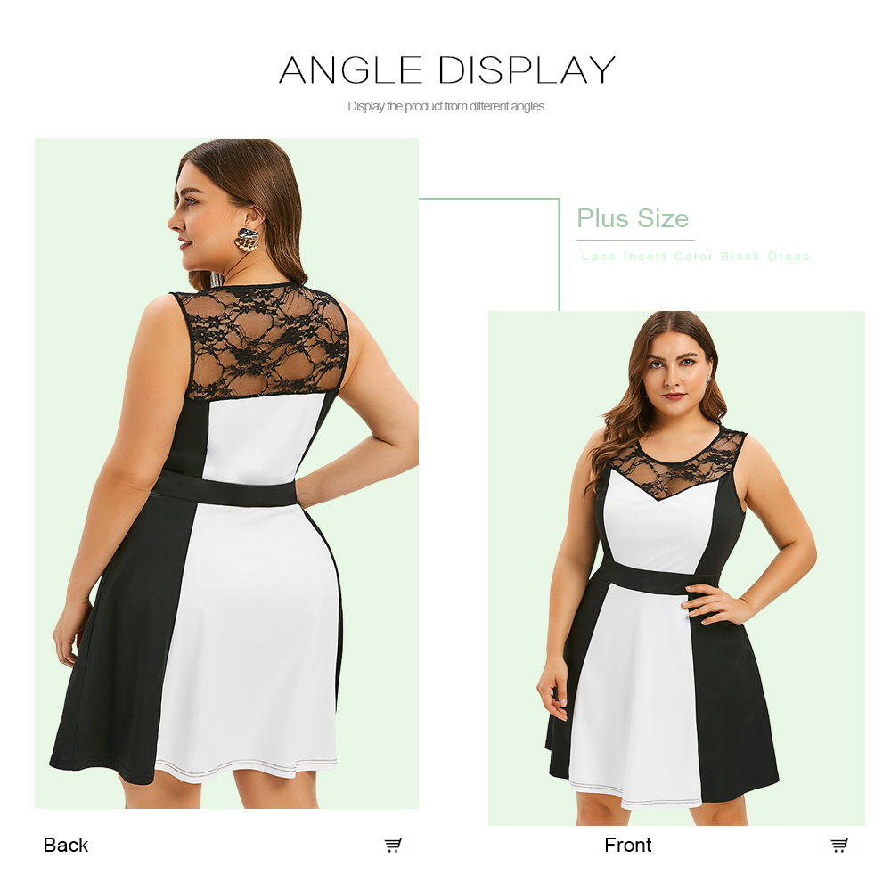 Plus Size Lace Insert Color Block Dress