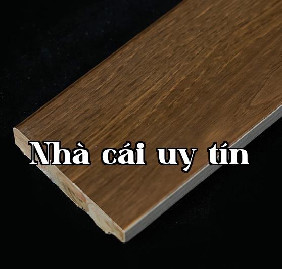 Dòng E