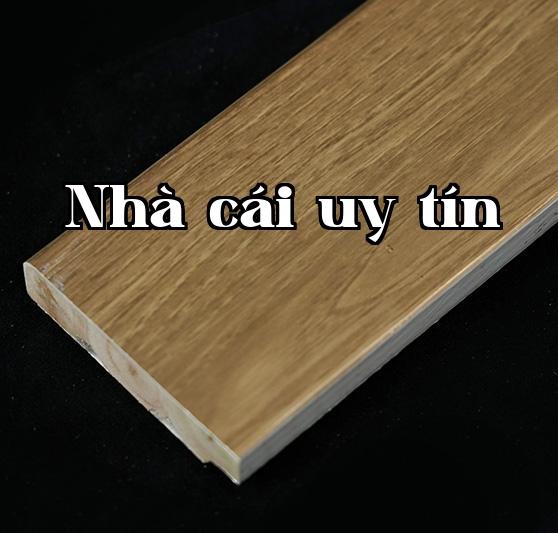 Dòng E