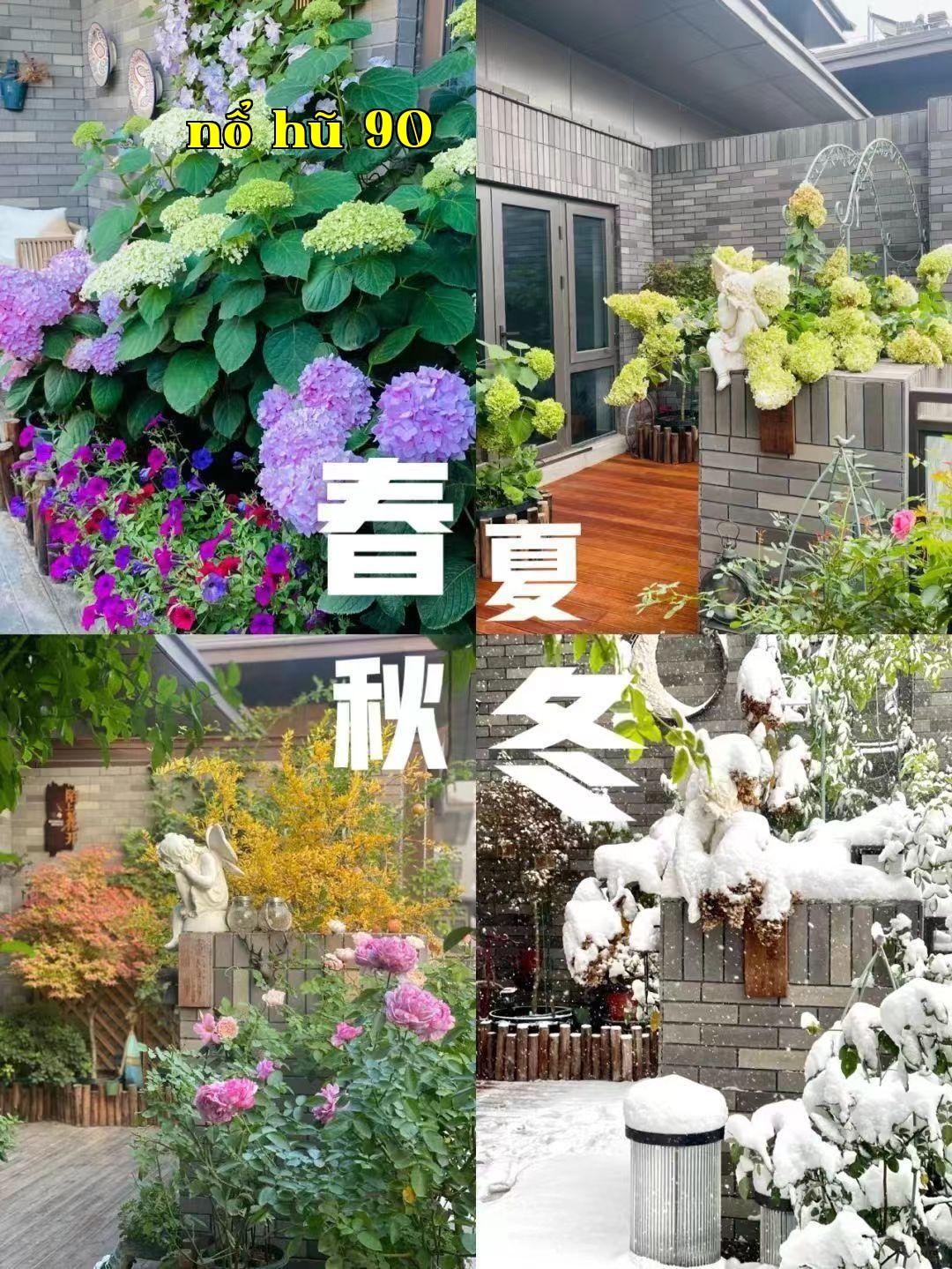 Mỗi mét vuông không gian đều vô cùng quý giá
