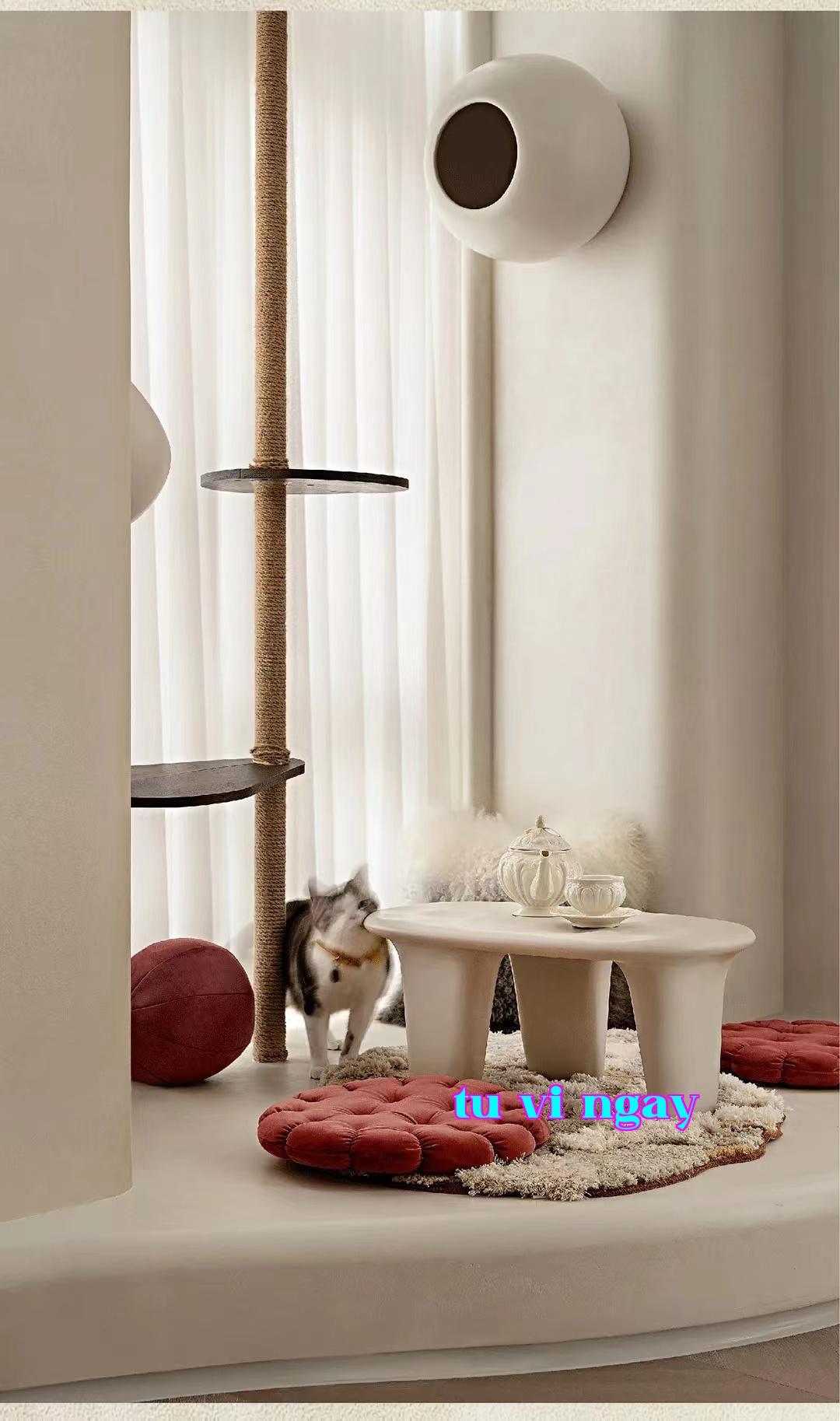 Hình ảnh WeChat_20240506170834