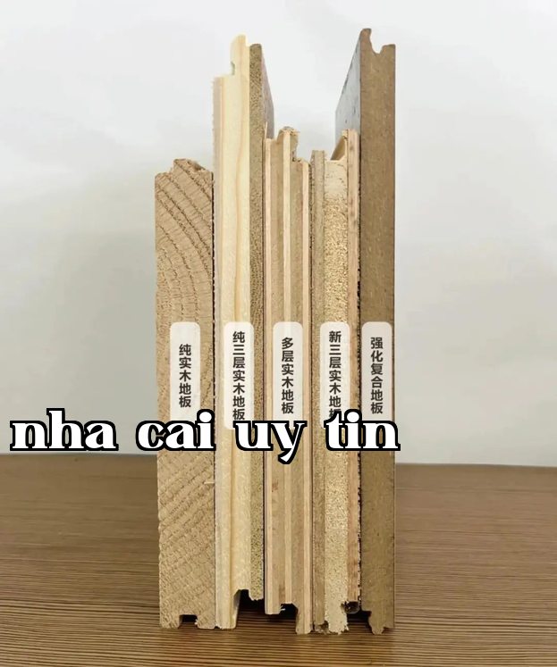 Hình ảnh WeChat_20240530135550