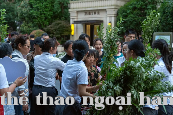 Hình ảnh WeChat_20240611153833