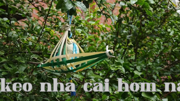 Hình ảnh WeChat_20240611153844
