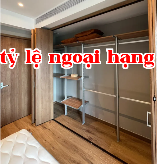 Tủ áo gỗ tự nhiên đơn giản