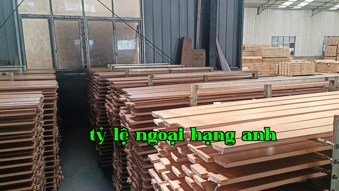 Hình WeChat_20241109140537