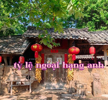 Hình chụp màn hình_20241113154021